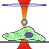 Microscopy methods