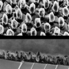 Nanoarchitectures Solar Energy